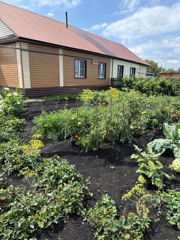 A Siberian village garden, documented inside and out