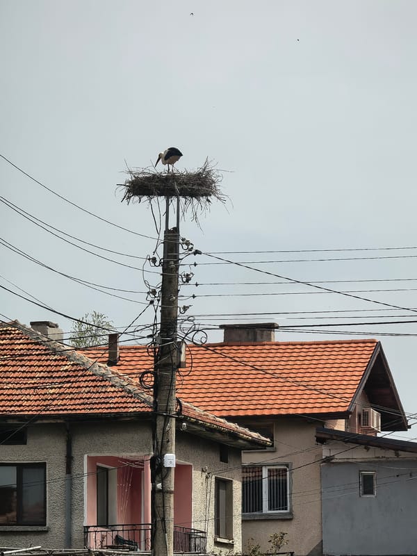 Morning life documented across European town through witness memories