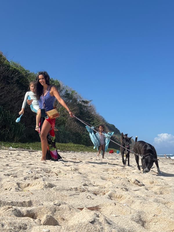 Paragliders, beachgoers, and excavators share a Bali morning shore