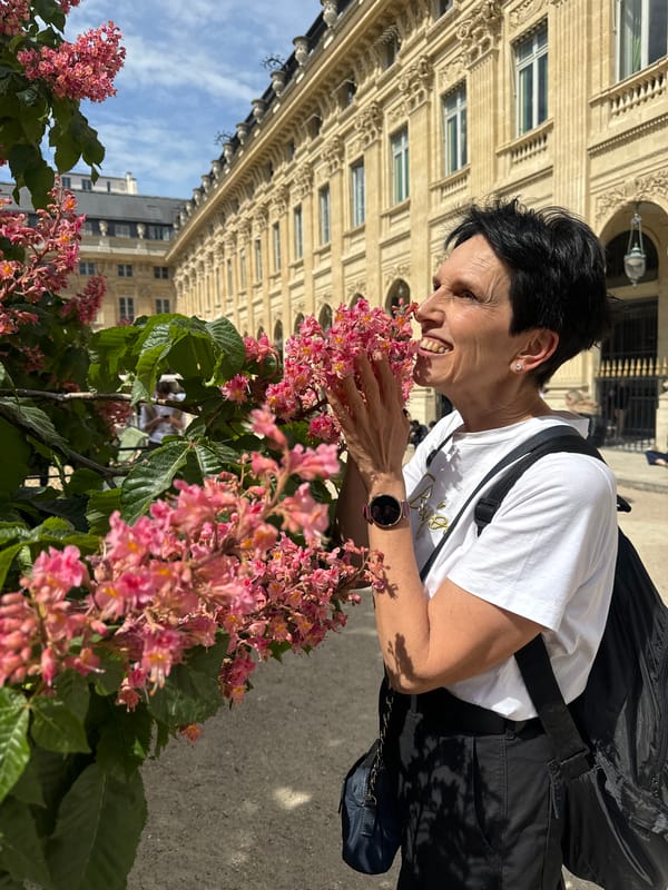 Spring morning activities captured in Paris park