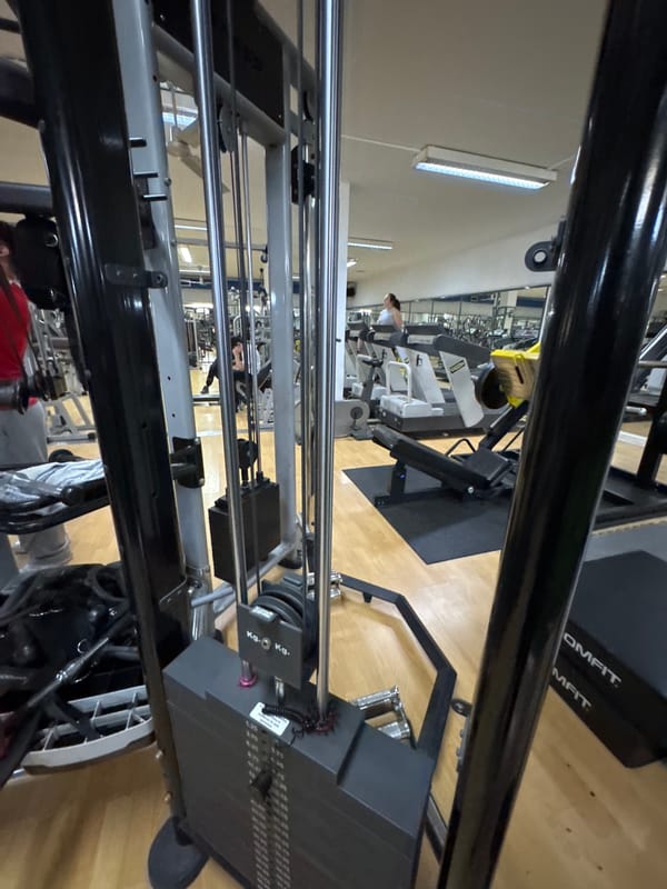 Gym activity documented in Mirandela, Portugal fitness facility