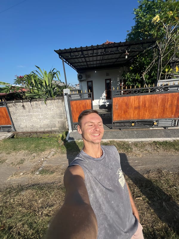 Heterochromatic white cat spotted throughout Sukawati, Indonesia streets