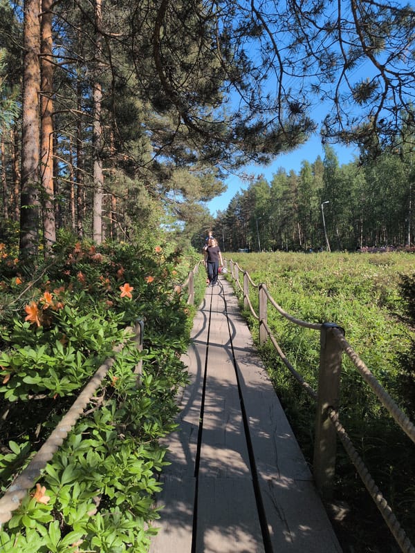 Visitor documents blooming rhododendrons at Helsinki's Rodopuisto park