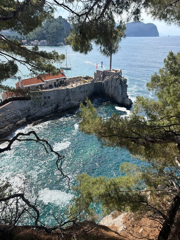 Woman and dog pause on Montenegro clifftop overlooking Adriatic