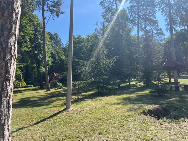 Morning walk through a Serbian park or nature reserve
