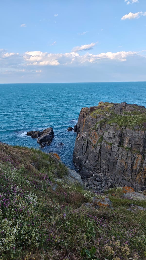 Coastal wildflower meadows and cliffs documented in Sozopol, Bulgaria