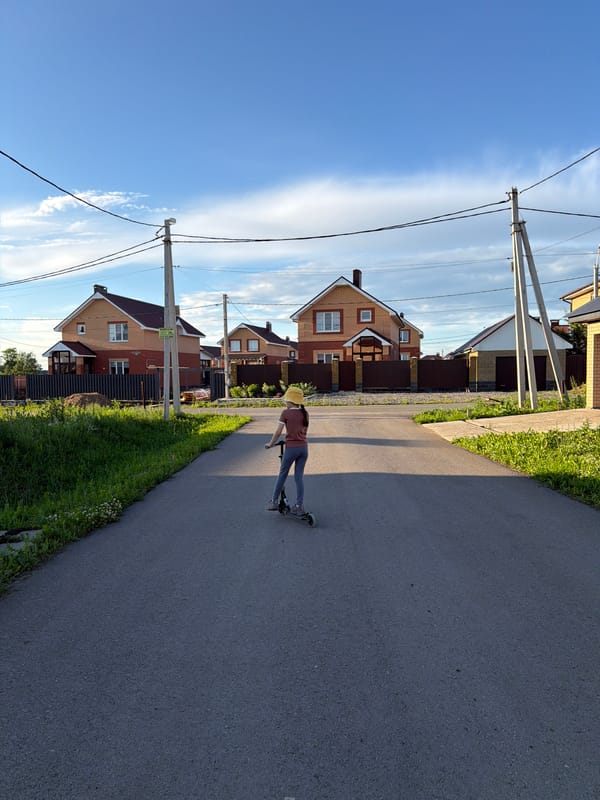 Suburban afternoon in Shmidtovo featuring selfies and mint picking