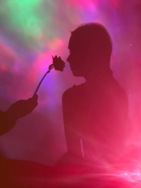 Shadow figures with roses perform against colorful light projections