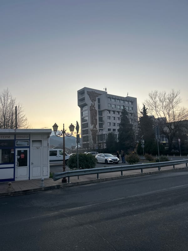 Afternoon scenes captured in Zlatograd: buildings, streets, dog encounter