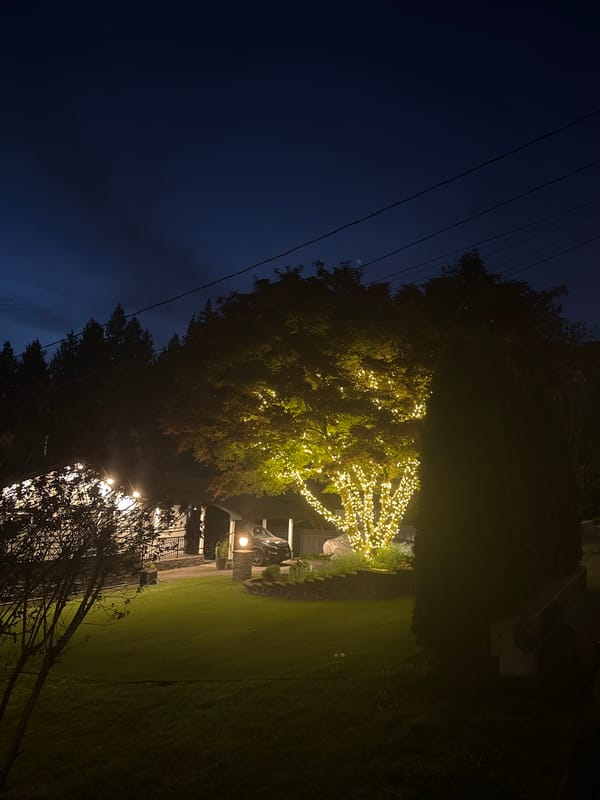 Nighttime residential scene documented in suburban Coquitlam