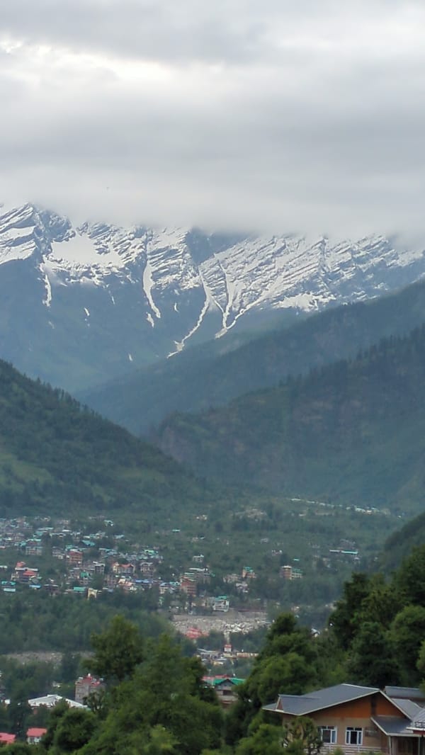 Vashisht village, Himalayan peaks, and a lone marigold