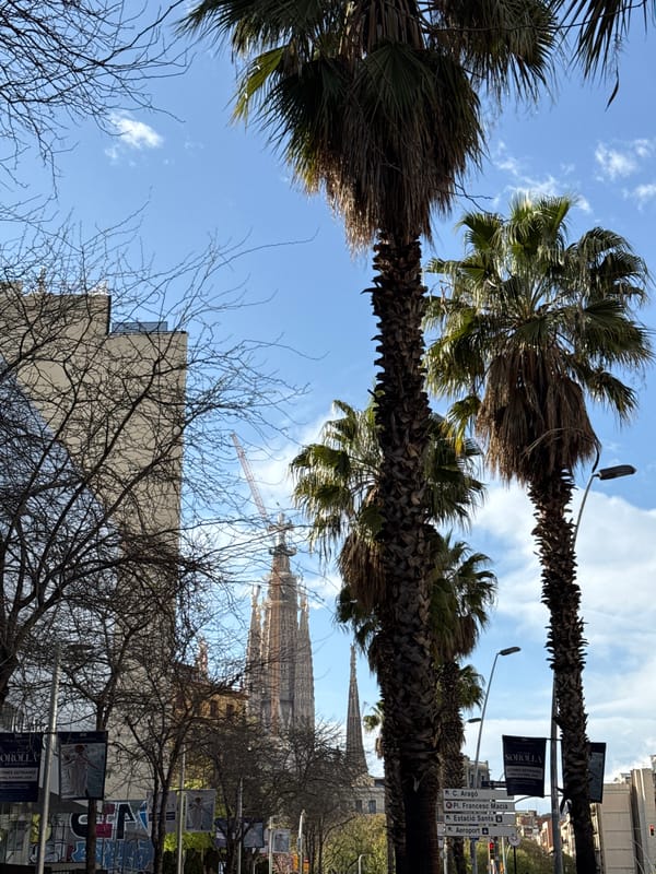 Solo walking tour captures Barcelona street scenes and architecture