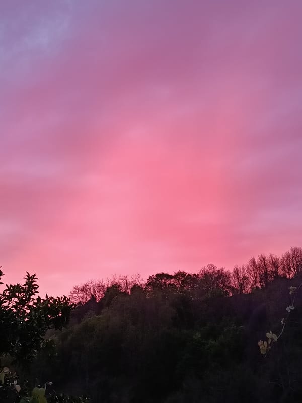 Dramatic pink sunset sky observed in Abkhazia countryside