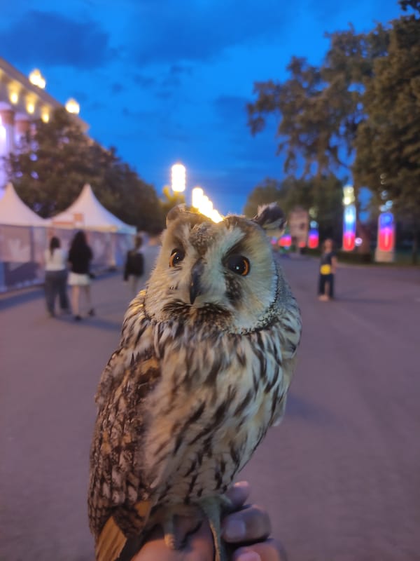 Spring evening activities documented at Moscow's VDNKh exhibition park