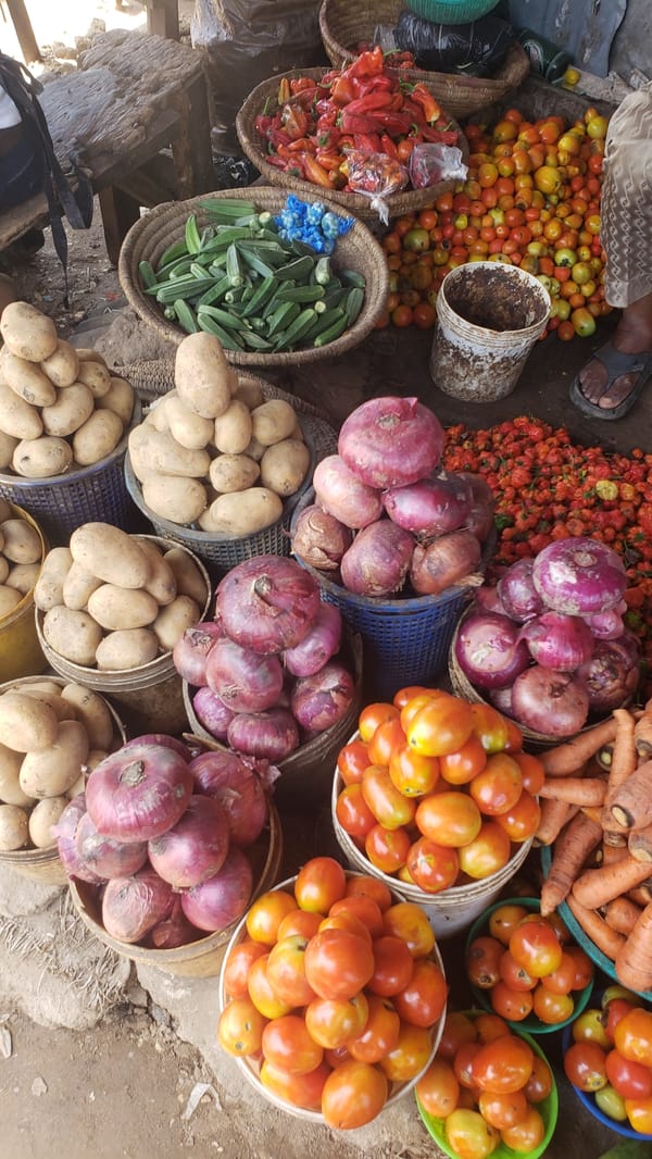 Daily Market Operations Documented in Sabon Tasha, Nigeria