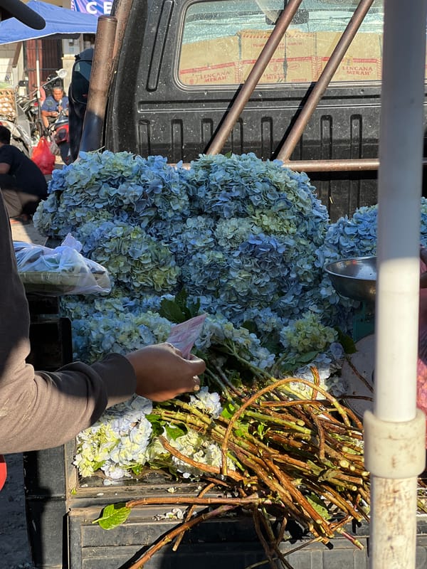 Night market vendors sell tropical fruits from trucks in Ubud