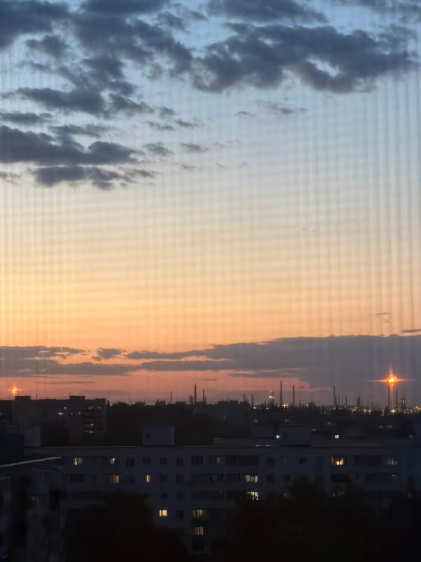 Dusk cityscape transition documented through window screen May 24