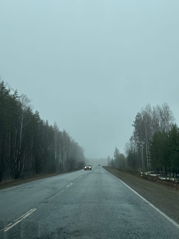 Foggy road conditions documented in Novyi, Russia