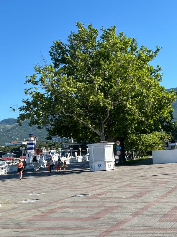 Gelendzhik promenade: beach, war memorials, and amusement park in summer