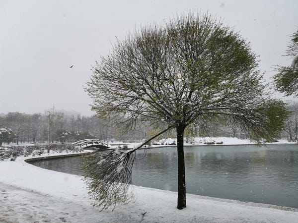 Late-season snowfall blankets Moscow parks in April 2026