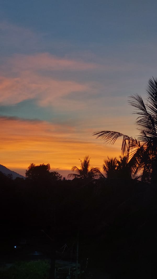 Colorful sunset documented through palm trees in Baan Mae Nam