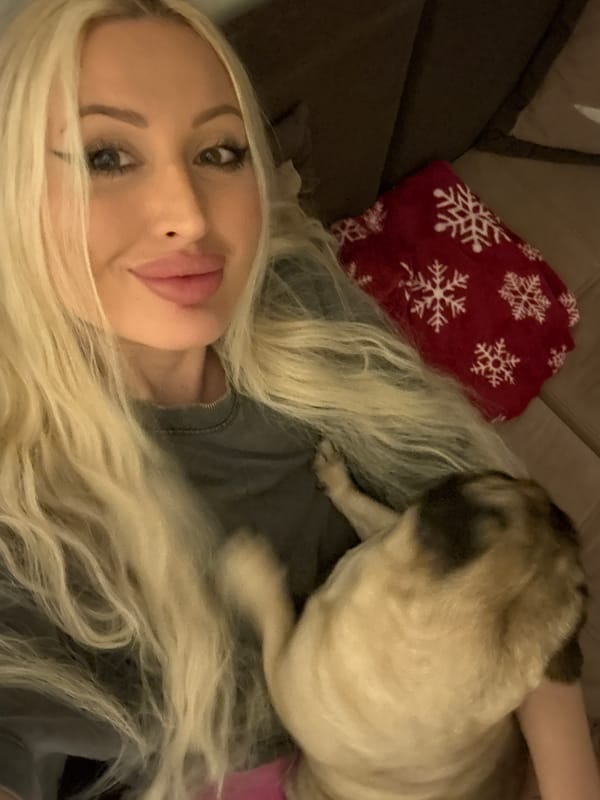 Pug steals the show across three quick couch shots
