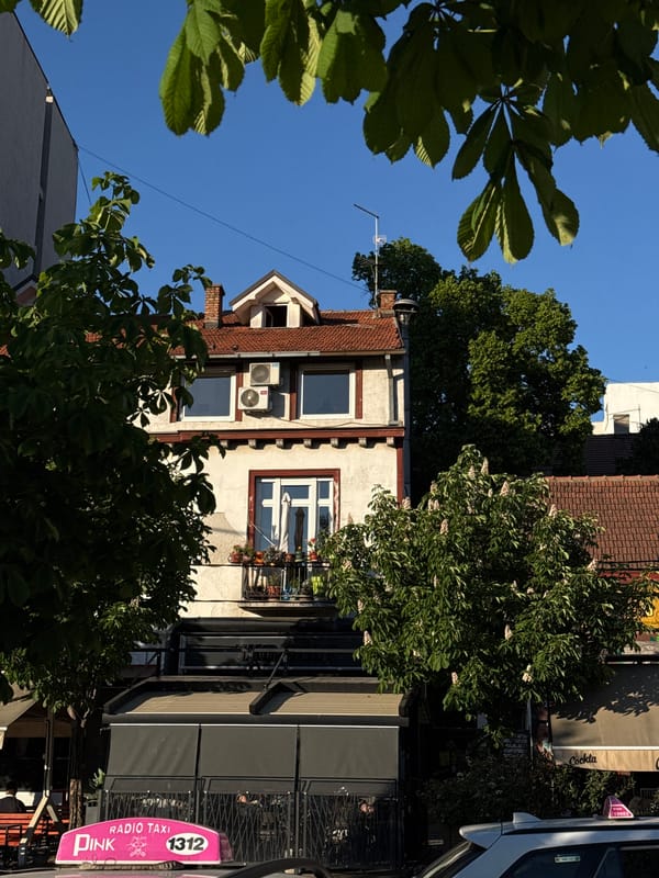 Belgrade street and park scenes documented by observer