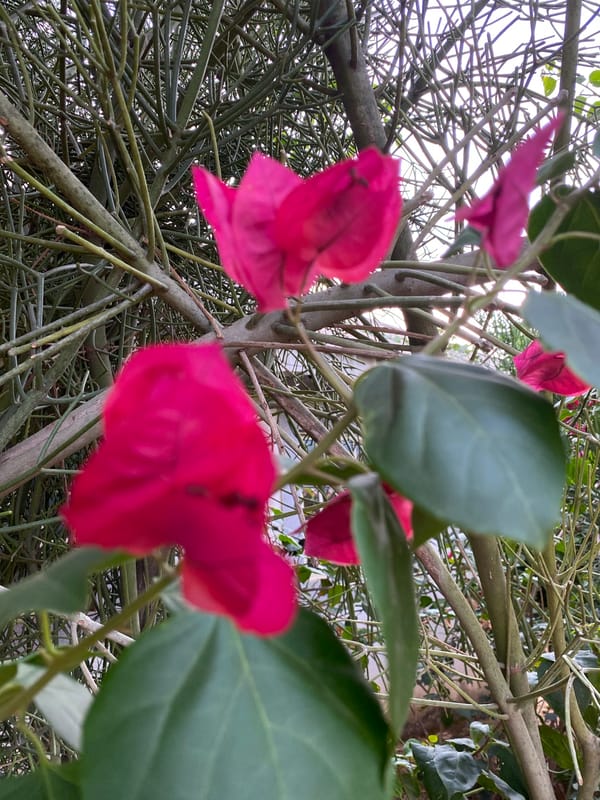 Daily life moments captured across Bukuru, Nigeria afternoon
