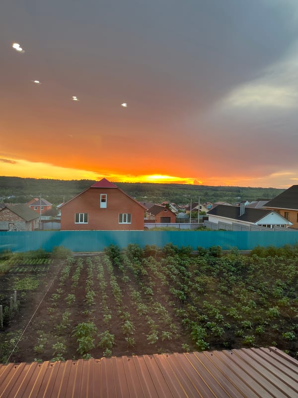 Garden sunset and fresh watermelon in rural Tujmazy