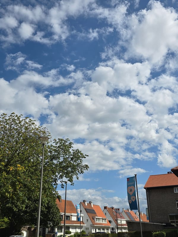 Antwerp afternoon: city views and close-up nature details