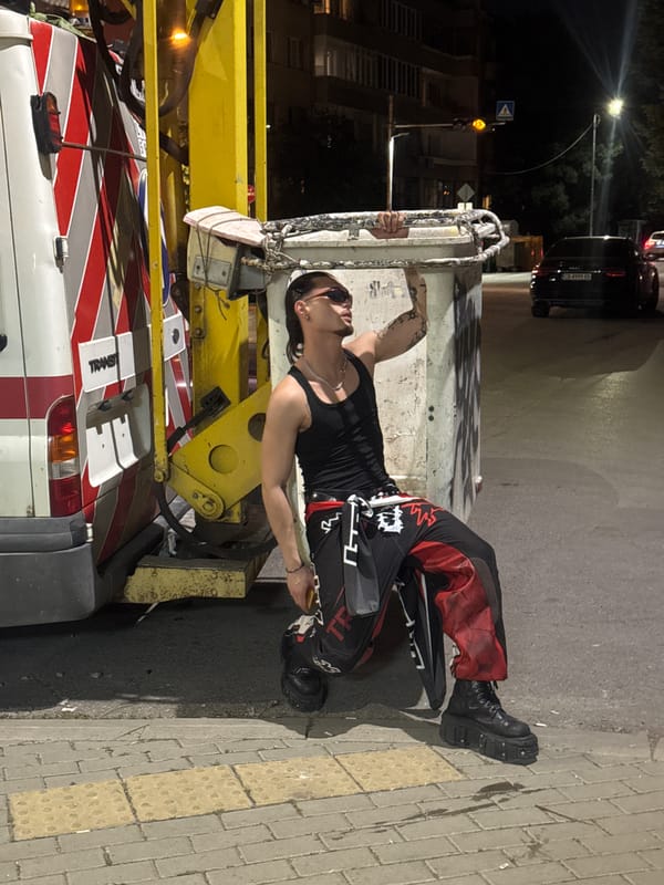 Person spotted leaning against dumpster on Sofia street at night