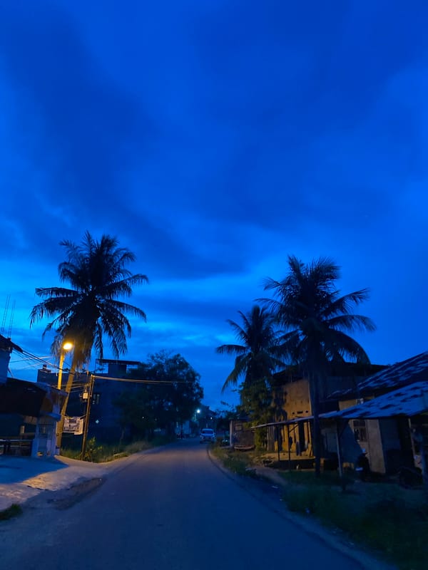 Twilight street scene in Lhokseumawe with palm silhouettes