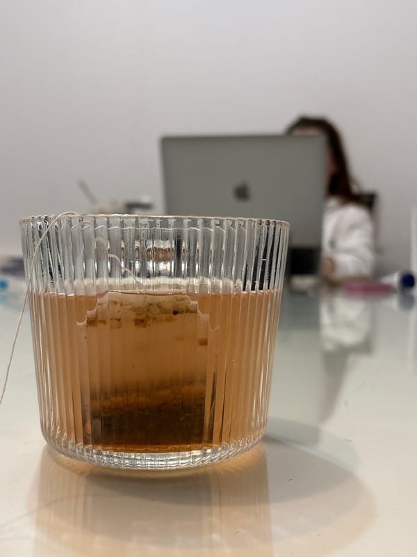 Quiet afternoon moments captured in Kragujevac workspace setting