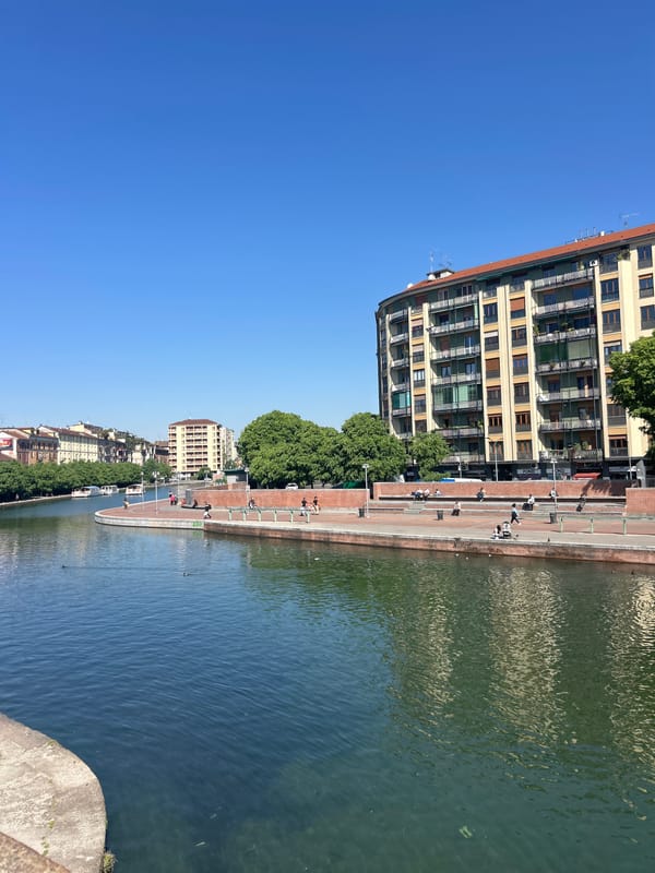 Morning tranquility captured along Milan canal with ducks, dogs