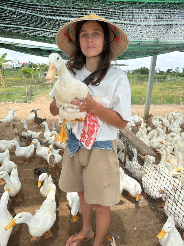 Holding a white duck on a Hoi An farm in a conical hat