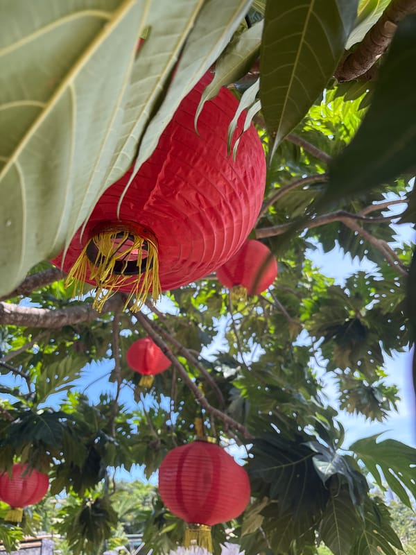Scenic garden views and decorations captured in Nha Trang