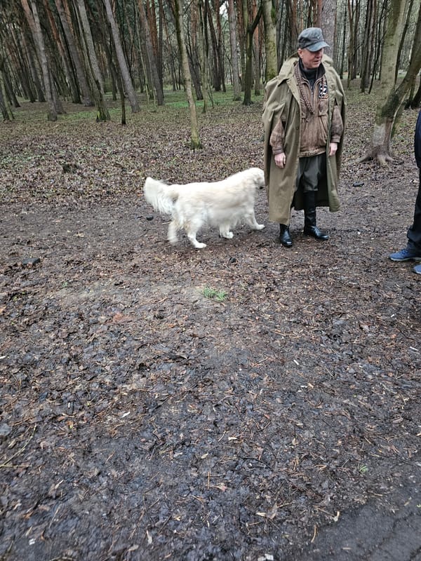 Quiet afternoon moments captured in Khimki forest and entrance