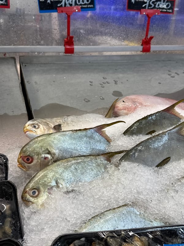 Fish market activity documented in Nha Trang Vietnam