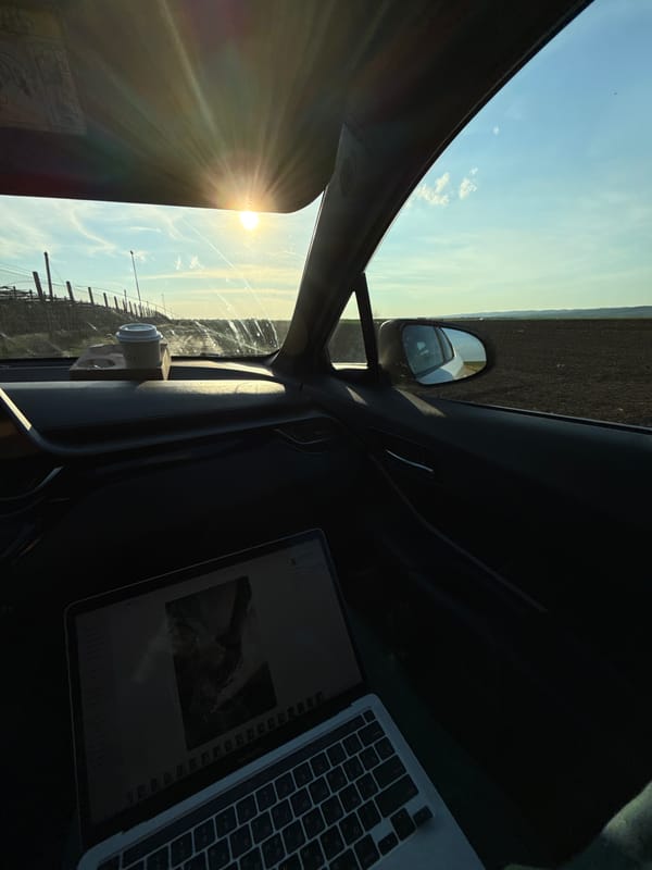 Person works on laptop inside parked car in Serbia
