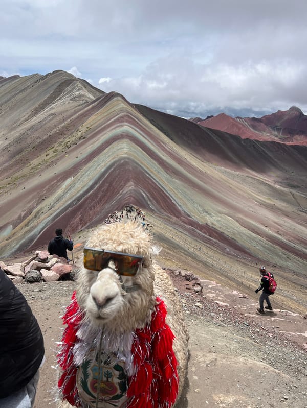 Sunglasses-wearing llama spotted at Peru's Rainbow Mountain