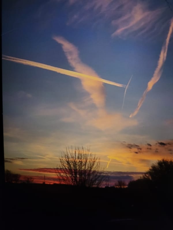 Ordinary afternoon moments documented in Bulgarian suburb