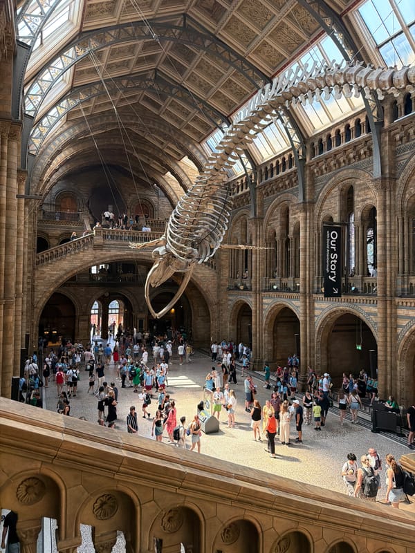 Morning at London's Natural History Museum, inside and out