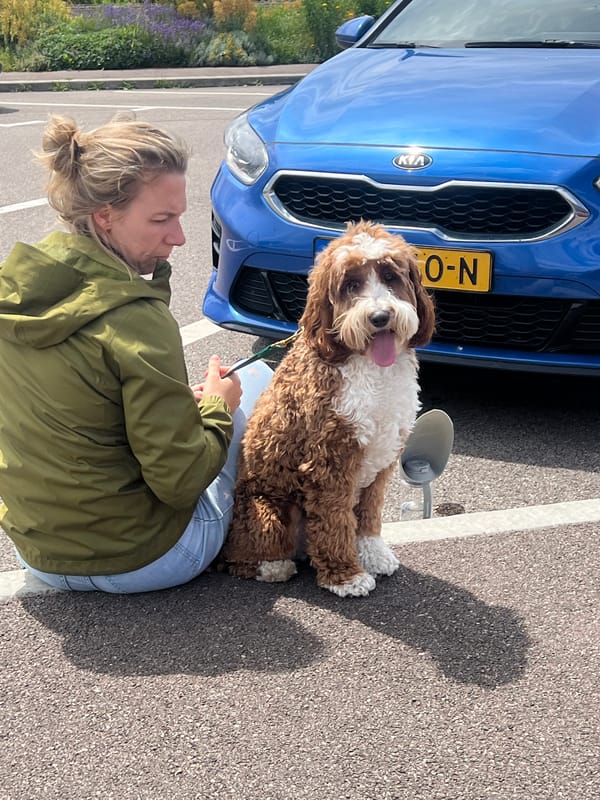 Woman with dog observed in Bosgouet parking area