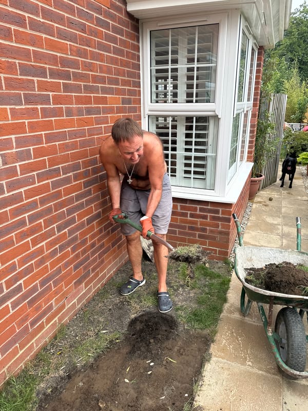 Raised garden beds going in on a sunny afternoon