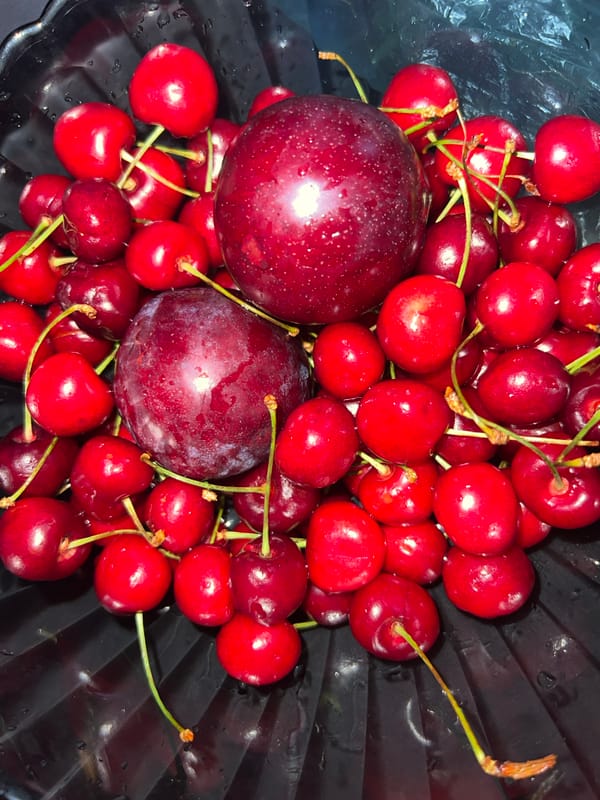 Fresh fruit displayed in container documented in Sinyavino, Russia
