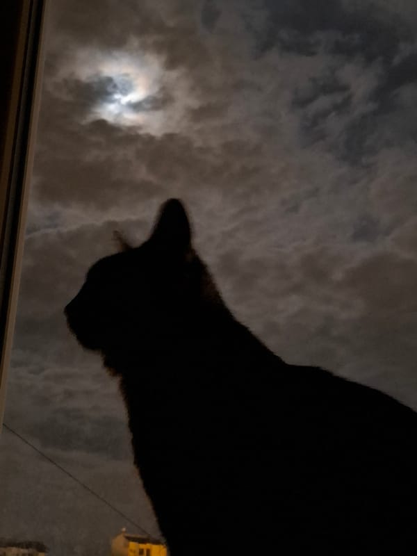 Cloudy moonlit night observed from windows in Novi Sad