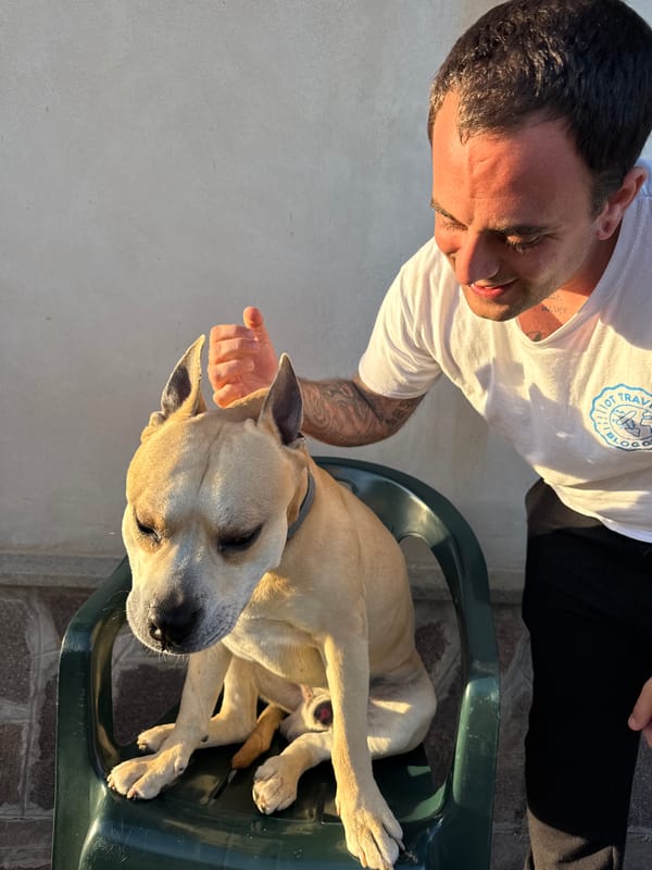 Man and dog share outdoor moment in Aprilia
