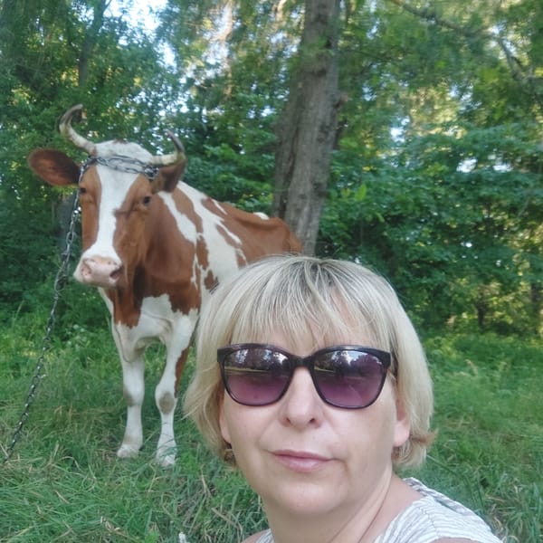 Lazy summer afternoon in Voronkiv countryside with a cow