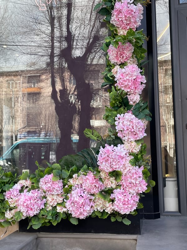 Spring flower displays spotted in Yerevan shop windows