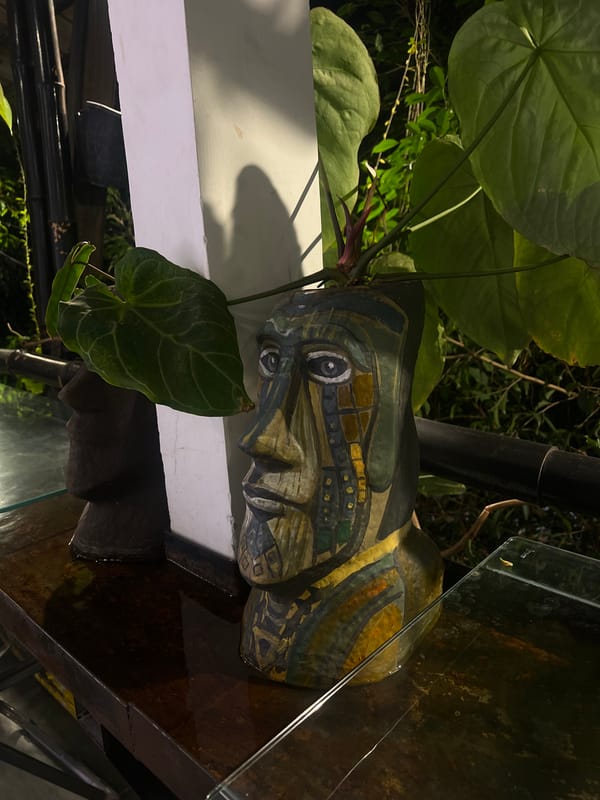 Diners enjoy plant-filled terrace cafe in Nha Trang
